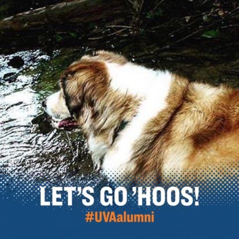 Meet your Posher, Kat